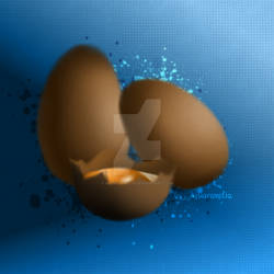Eggs