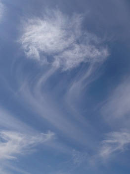 Jellyfish clouds 5