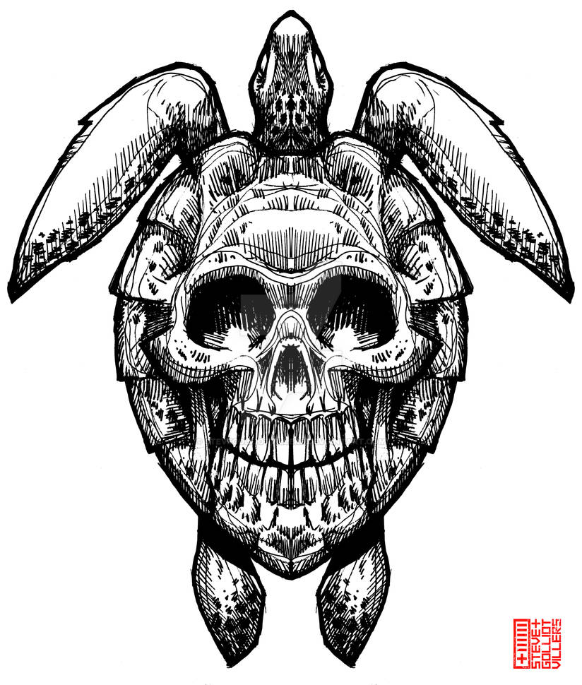 Skull Turtle by SteveGolliotVillers on DeviantArt