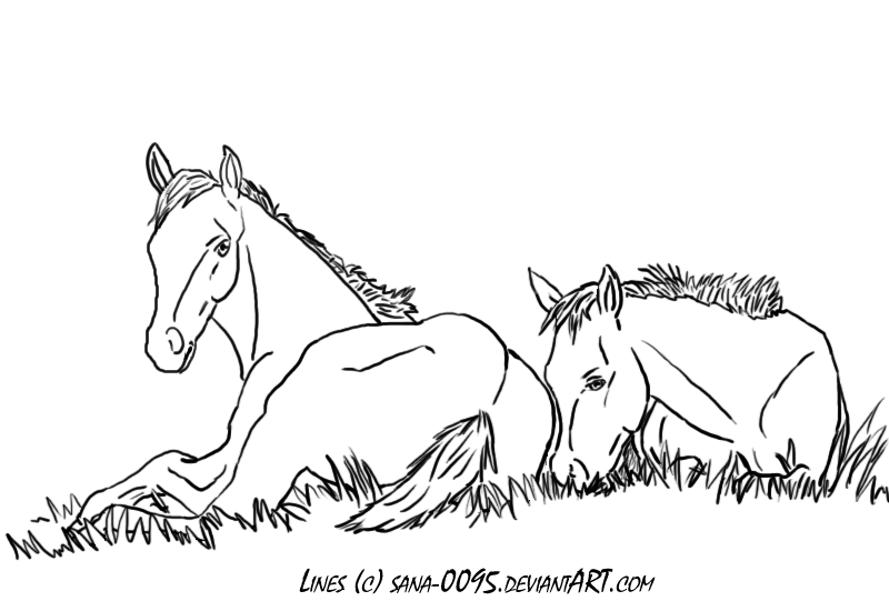photo Realistic Foal Coloring Pages horse lineart 2 foals by sana 0095 on