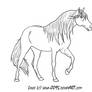 Horse Lineart 5 - Female