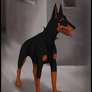 Dobermann