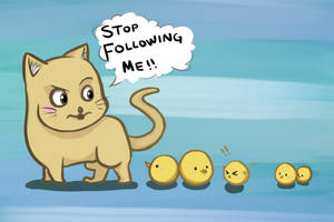 Stop Following Me!!