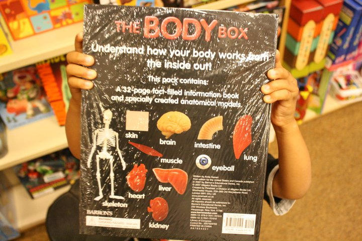 Body Box Members the body box. by robbieleigh on DeviantArt