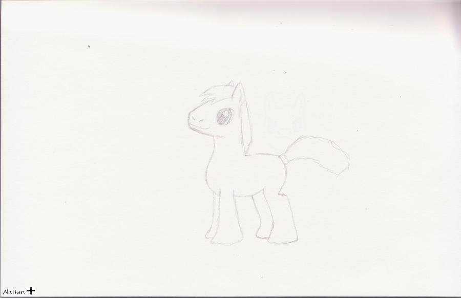 Basic Pony by Region-Pony on DeviantArt