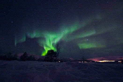 Northern Lights VIII