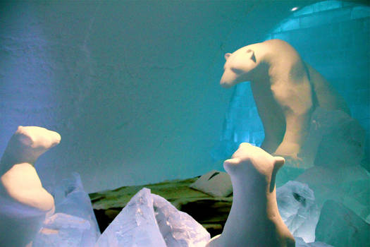 Ice Hotel Room - Polar Bears