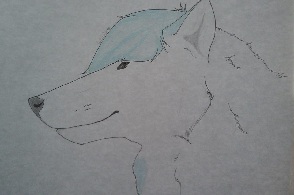 For Wolfy