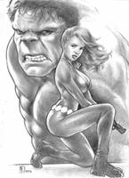 Hulk and Black Widow 