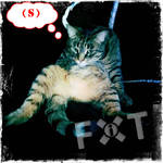 WUABS ext - Speech bubbles 1 by cellmatehelper