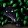 Ravenpaw's Hiding Place