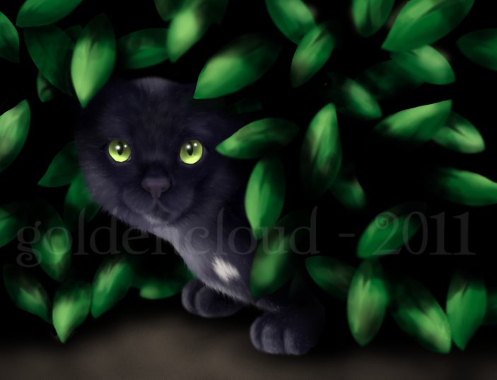 Ravenpaw's Hiding Place