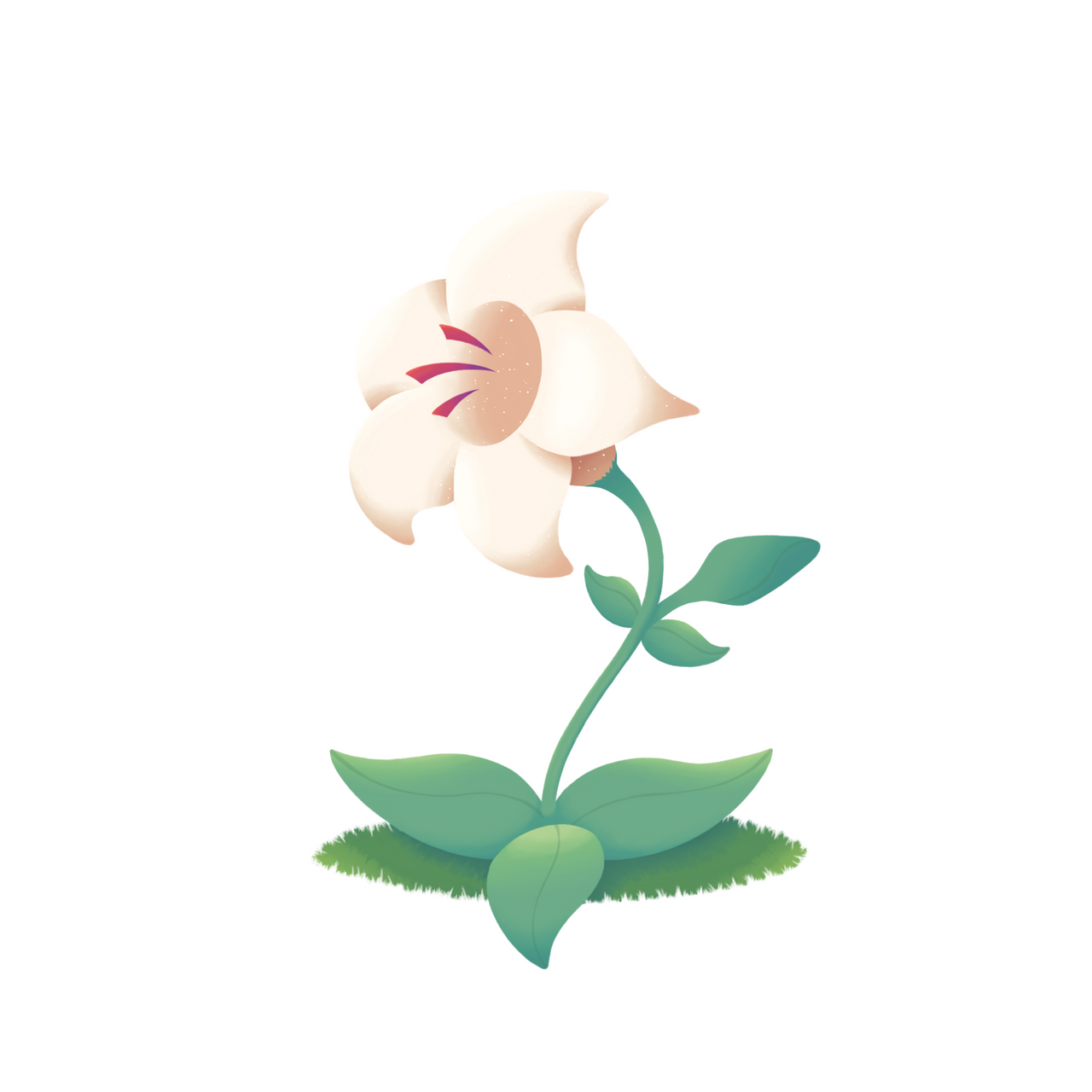 A single white lily flower planted in the ground, sparkling at the flower head.