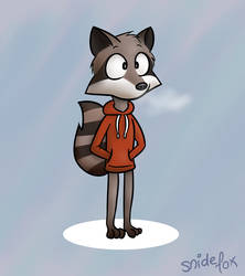 Hoodie Raccoon
