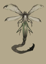 Locust concept