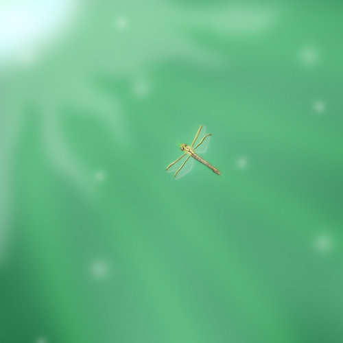 Dragonfly