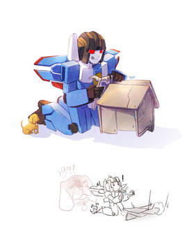 Thundercracker and Buster