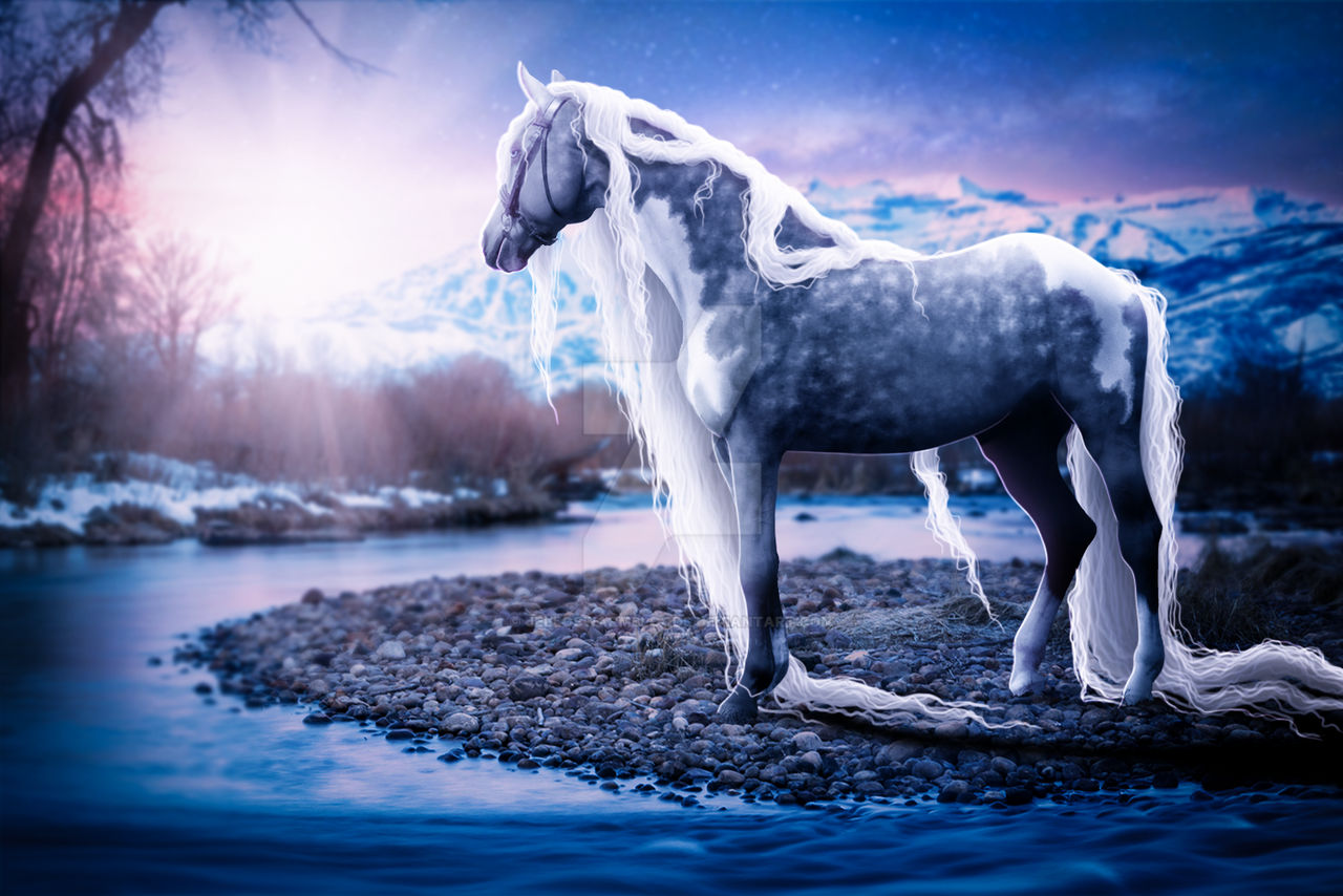 Captivating Unicorn Eye Moment in HD Captivating Unicorn Eye Moment in HD