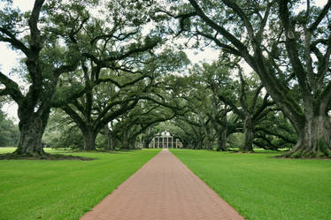 Oak Alley