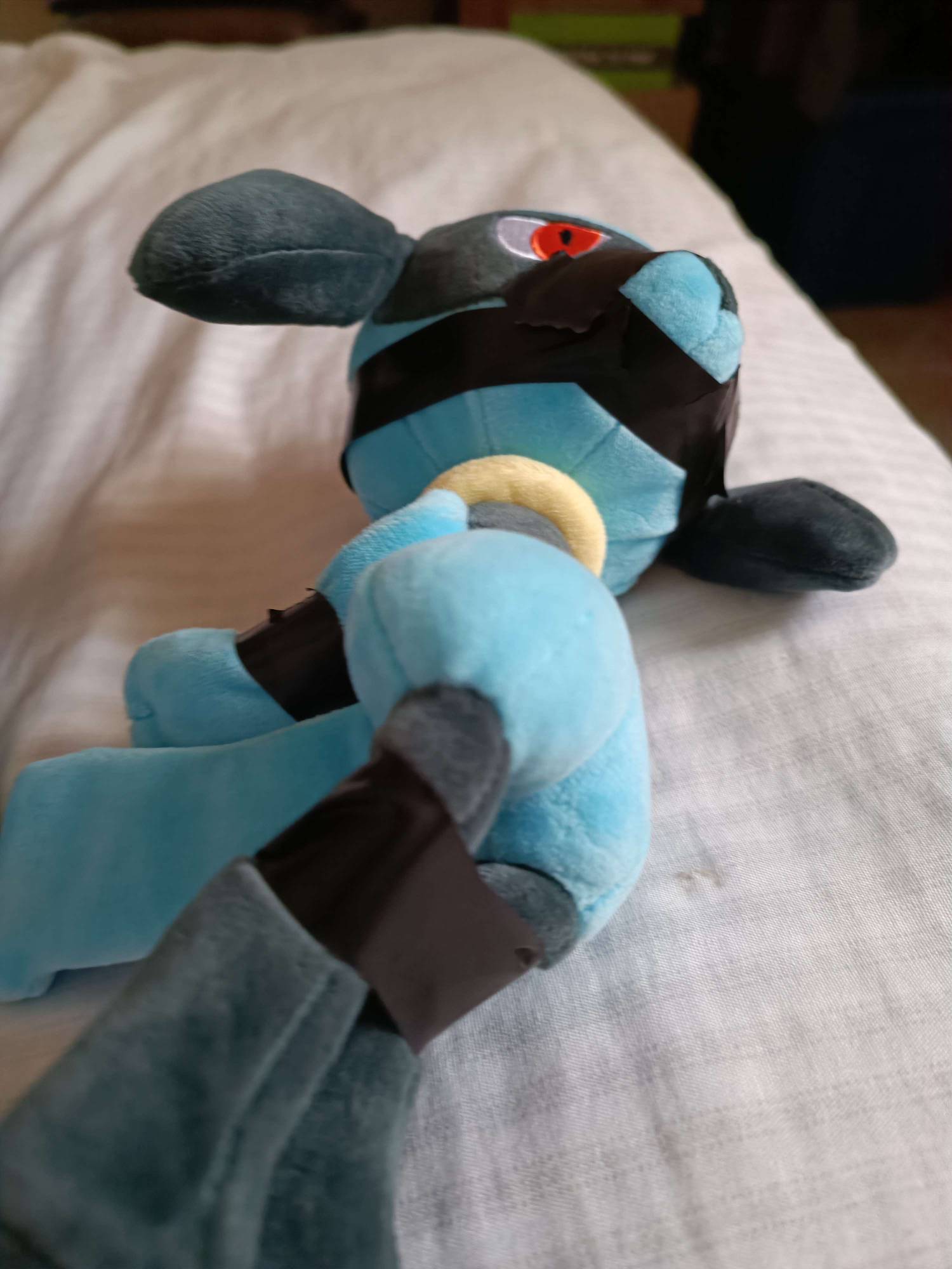 Riolu in disaster by PantherAlfieri on DeviantArt