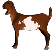 Goat Companion by EquusBallatorSociety