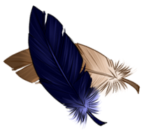 Feathers by EquusBallatorSociety
