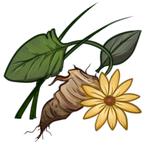 Herbs by EquusBallatorSociety