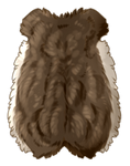 Small Animal Pelt by EquusBallatorSociety