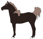 Side by EquusBallatorSociety