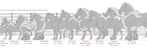 Equus Ballator Type Size Comparison