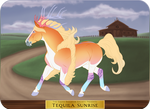 GH 5930 | Tequila Sunrise by EquusBallatorSociety