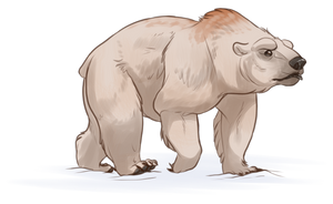 Bear Companion by EquusBallatorSociety