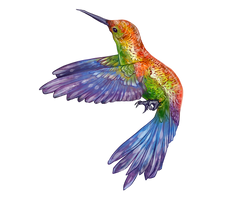 Hummingbird Companion by EquusBallatorSociety