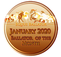 January 2020 Award by EquusBallatorSociety