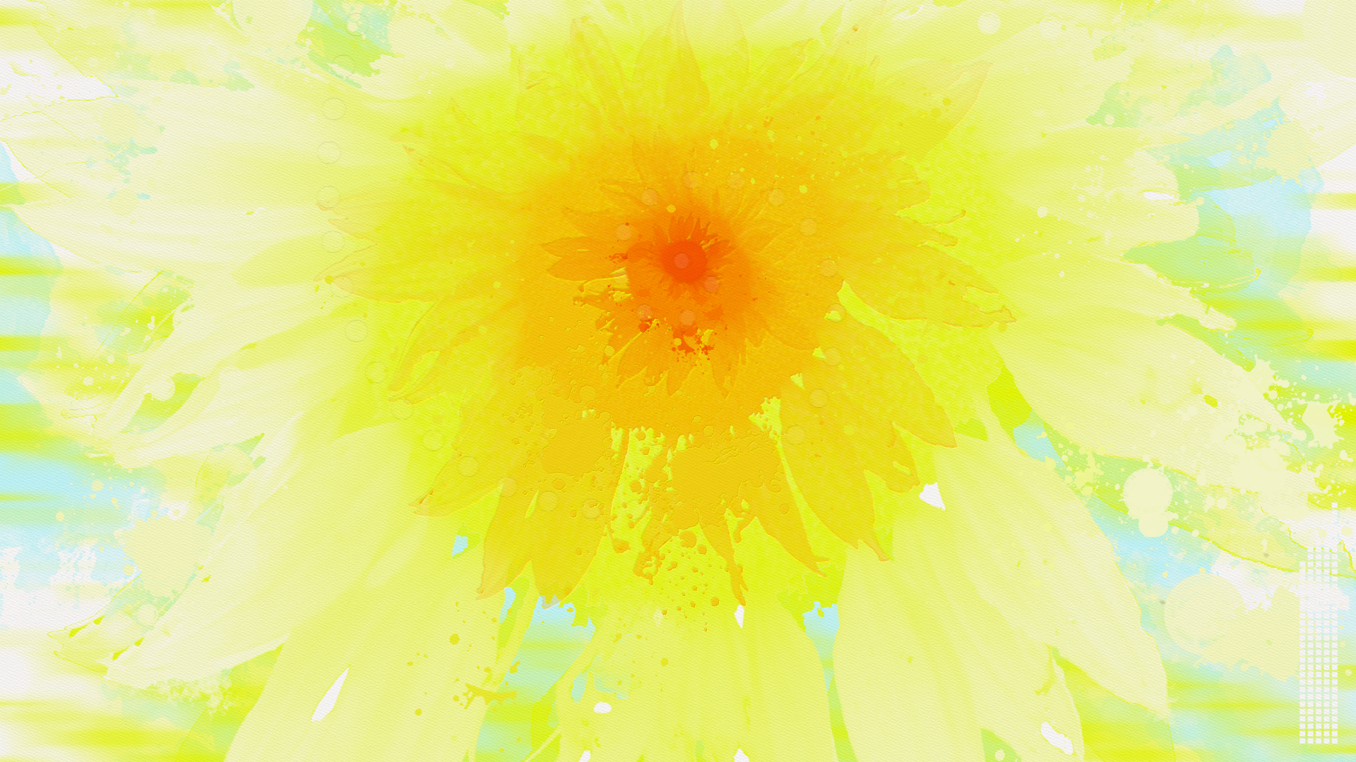 Sunflower-2019-1
