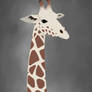 The Giraffe