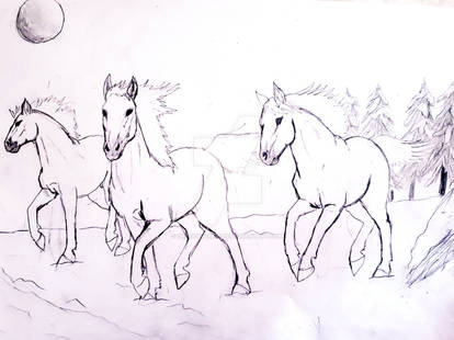 Wild Horses-drawing
