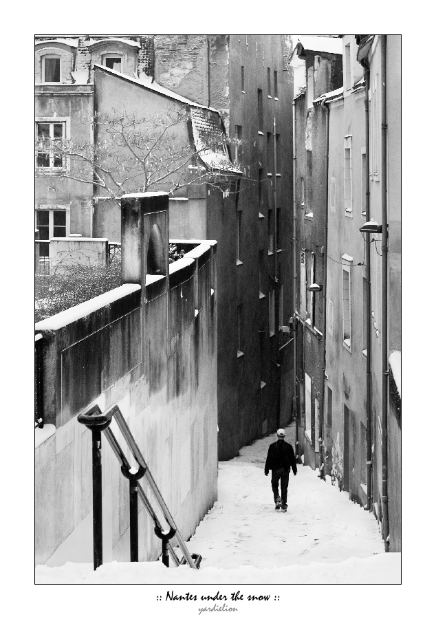 :: Nantes under the snow ::