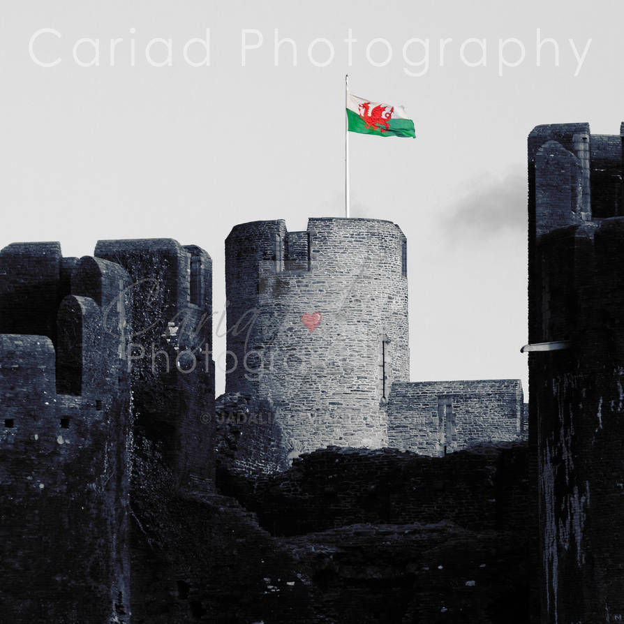 Welsh Collection - Caerphilly Castle