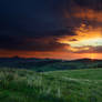 Dawn