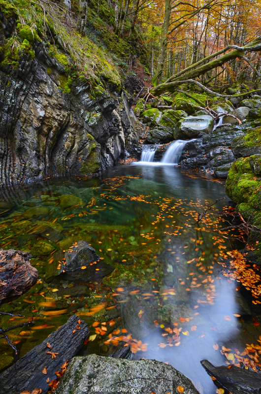 In the Stream of Seasons