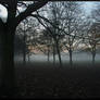 Gunnersbury Park, Fog I