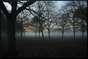 Gunnersbury Park, Fog I