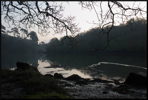 Misty Winter Morning