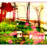 Paradise II