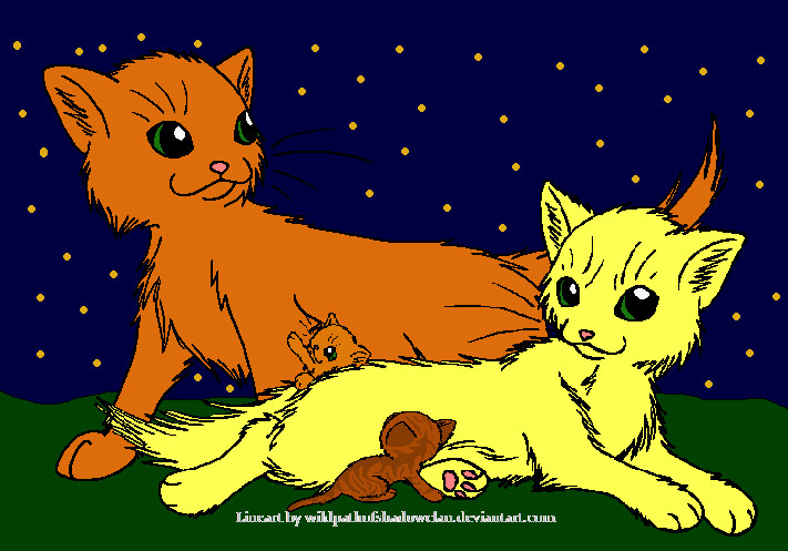 Fireworks (Firestar X Kittypet! Reader)