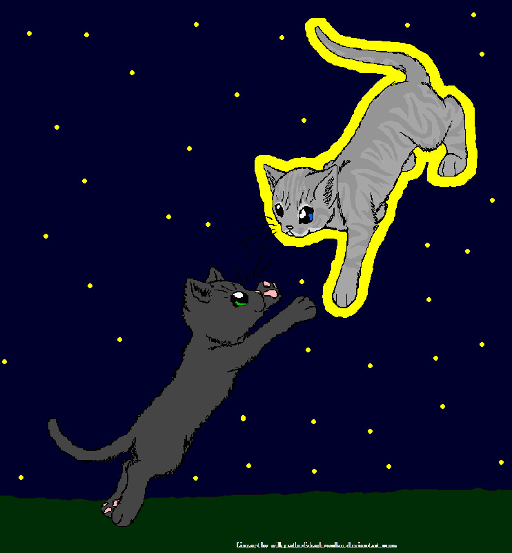 Graystripe and Silverstream