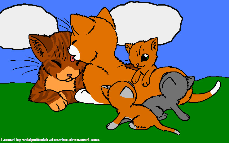 Billystorm and Leafstar + kits