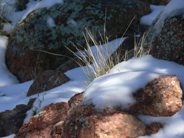 Snowy Red Rocks by machn8tr on DeviantArt