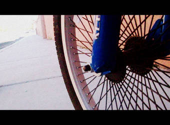 Bike Wheel